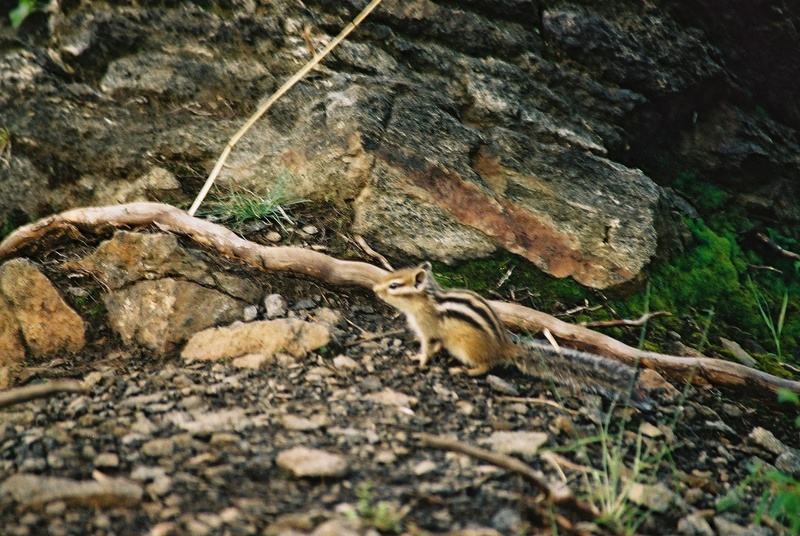 pliki/Strona/Strony/Podroze/Daleko_od_domu/Pik_Lubwi/95.JPG