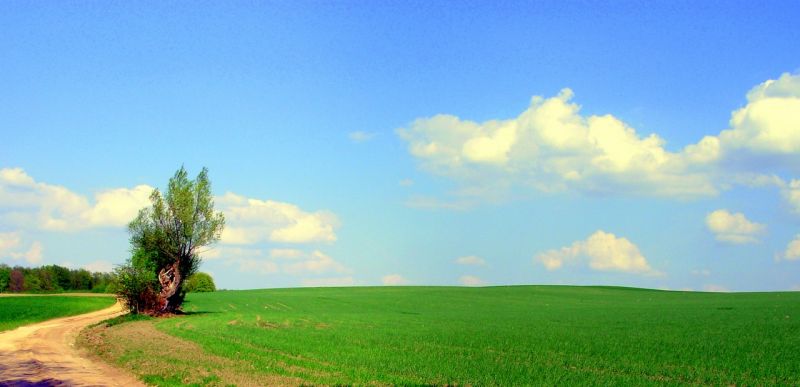 pliki/Strona/Strony/Podroze/Podroze_bliskie/Gdzie/foto.17. (Kopiowanie).JPG