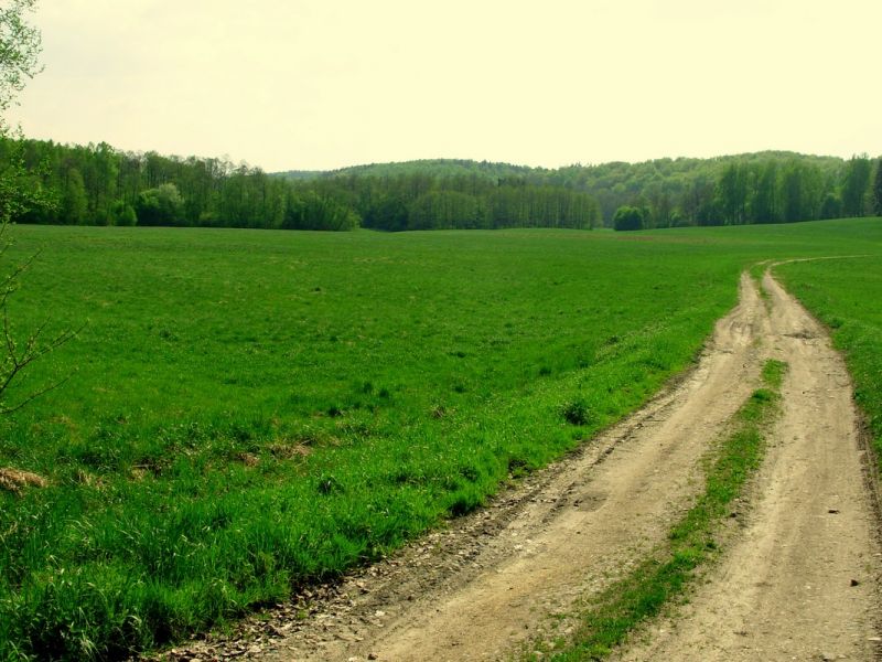 pliki/Strona/Strony/Podroze/Podroze_bliskie/Gdzie/foto.33c. (Kopiowanie).JPG