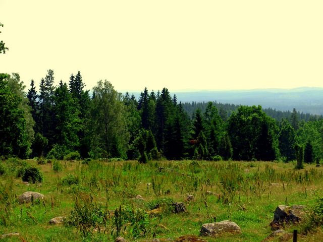 pliki/Strona/Strony/Podroze/Daleko_od_domu/Jak_po_pewnych_schodach_trafilismy_do_USA/fot.06.jpg pliki/Strona/Strony/Podroze/Daleko_od_domu/Jak_po_pewnych_schodach_trafilismy_do_USA/fot.06.jpg