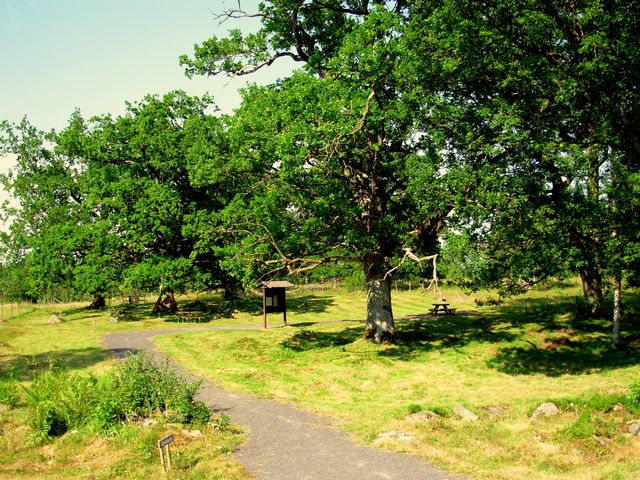 pliki/Strona/Strony/Podroze/Daleko_od_domu/Jak_po_pewnych_schodach_trafilismy_do_USA/fot.10.jpg pliki/Strona/Strony/Podroze/Daleko_od_domu/Jak_po_pewnych_schodach_trafilismy_do_USA/fot.10.jpg